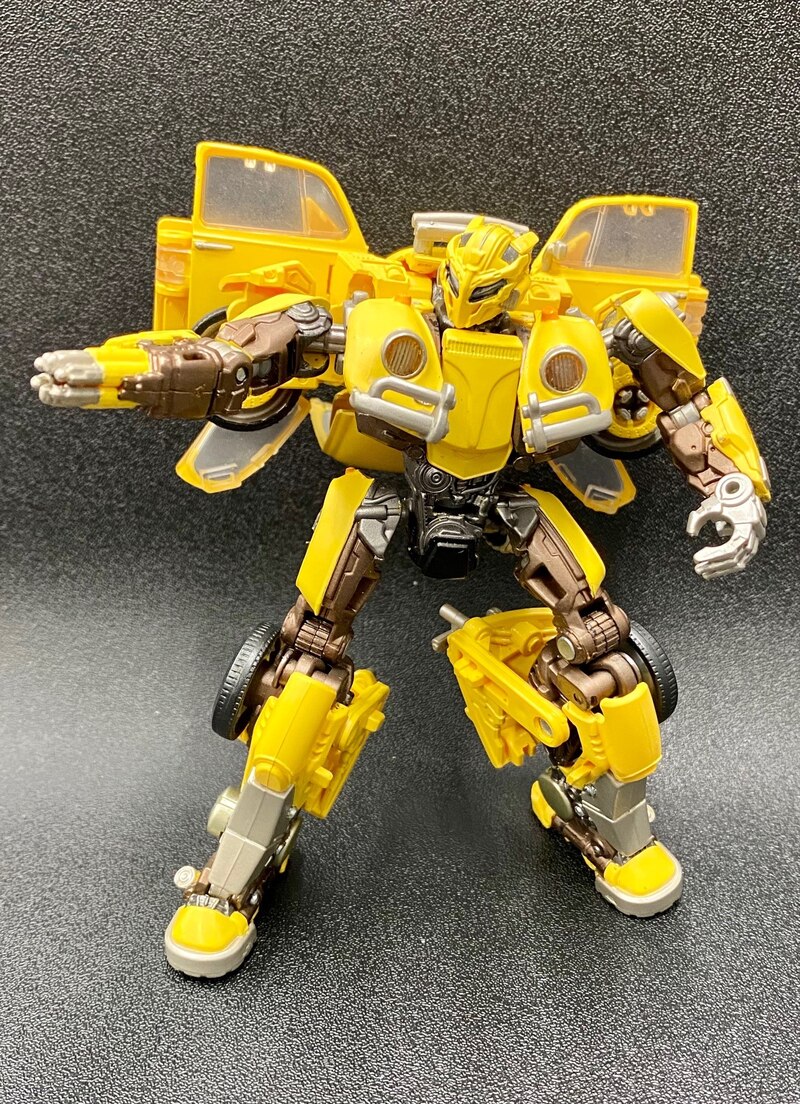 premium finish bumblebee