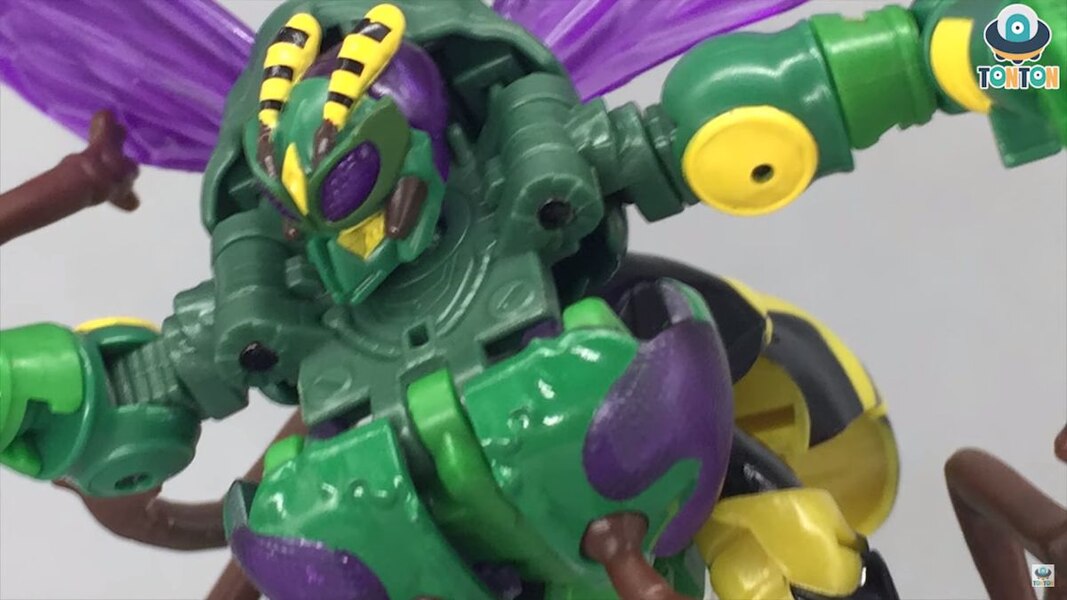 Transformers Kingdom Waspinator Official Product Description Leaked