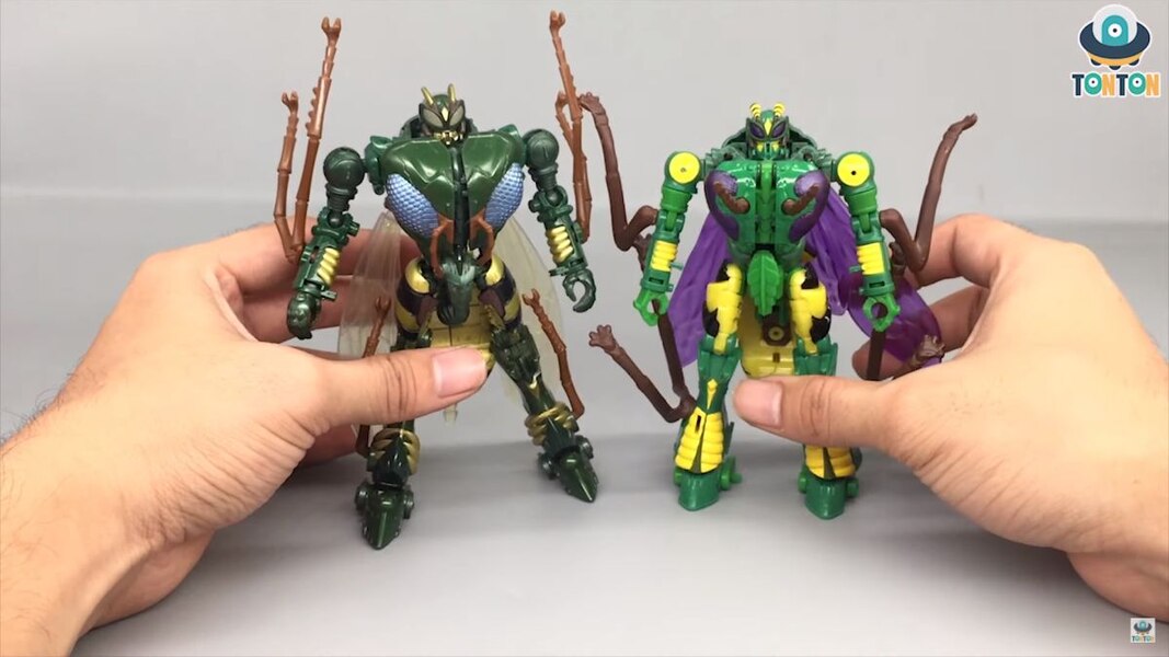 Transformers Kingdom Waspinator Deluxe Class MORE In-Hand Images