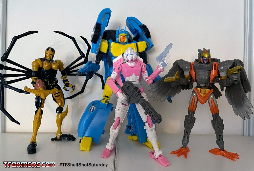 #TFShelfShotSaturday - Hey Ladies! Upgraded Arcee and Friends