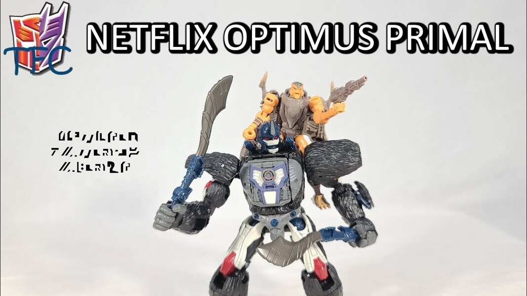 TF Collector Netflix Optimus Primal & Rattrap Review!