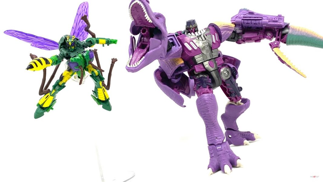 Transformers Kingdom Waspinator Deluxe Class In-Hand Images