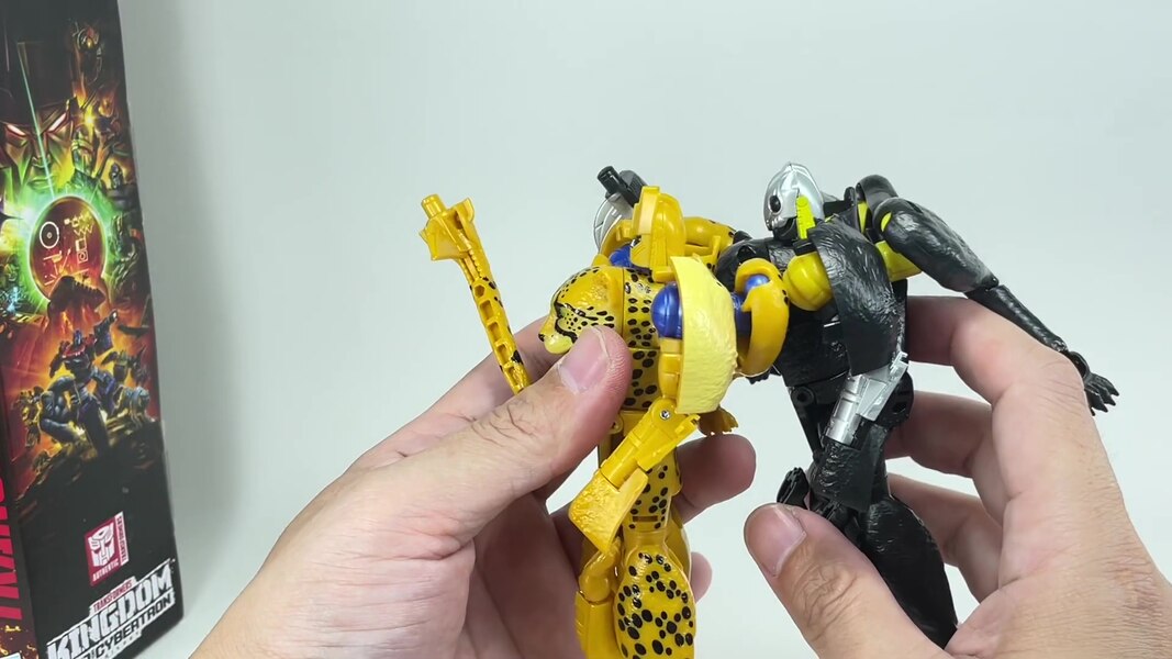 Transformers WFC Kingdom Shadow Panther  (10 of 18)