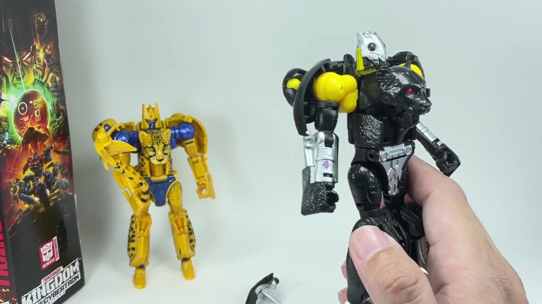 Transformers WFC Kingdom Shadow Panther  (11 of 18)