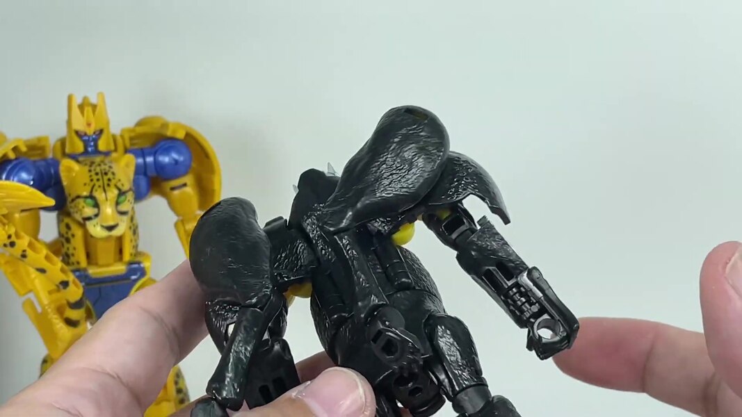 Transformers WFC Kingdom Shadow Panther  (14 of 18)