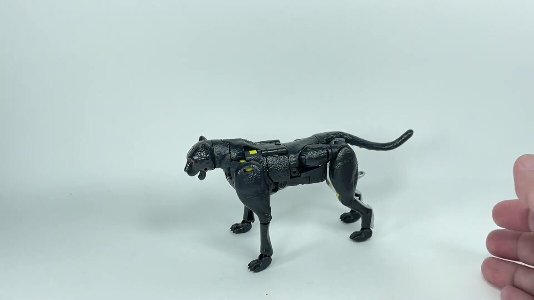 Transformers WFC Kingdom Shadow Panther  (15 of 18)