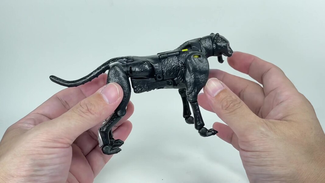 Transformers WFC Kingdom Shadow Panther  (16 of 18)