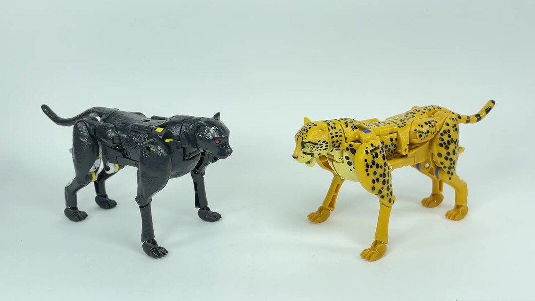 Transformers WFC Kingdom Shadow Panther  (18 of 18)
