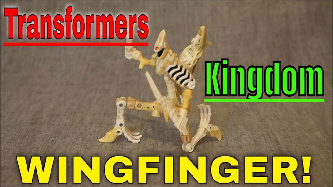 Diggin' Those Bones: Kingdom Wingfinger!