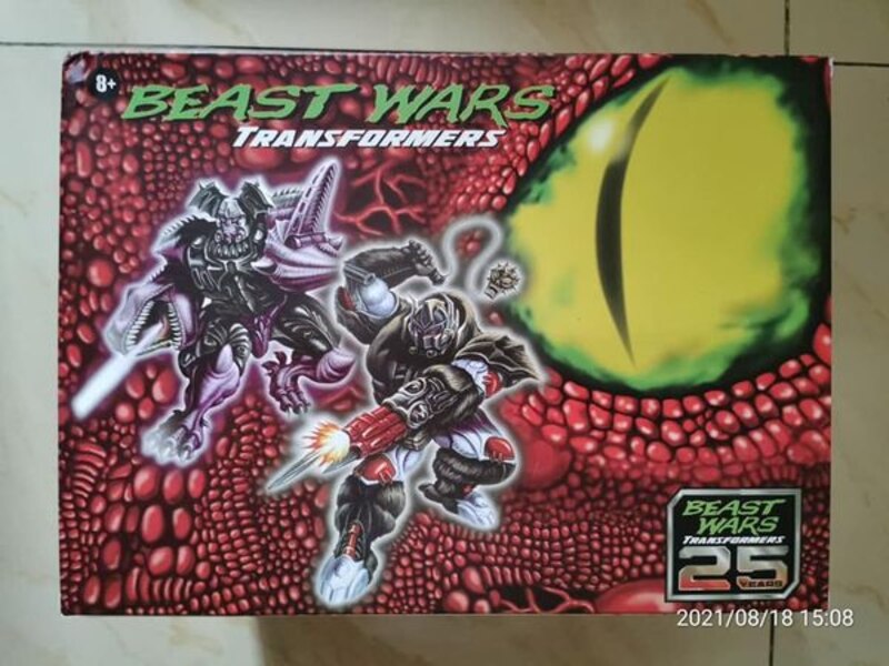 Transformers China Beast Wars Exclusive Boxed Sets, Coins, Sourcebook Images