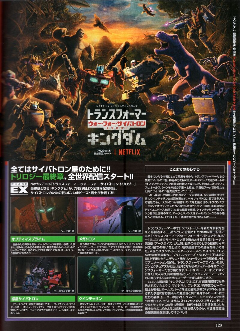 完成品確認ページ じゅ様 Chou Medama Waku ネイルチップ 付け爪 Watanegypt Tv