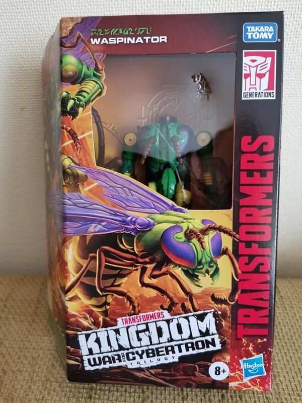 Kingdom Wave 4 Shadow Panther & Waspinator Package Images