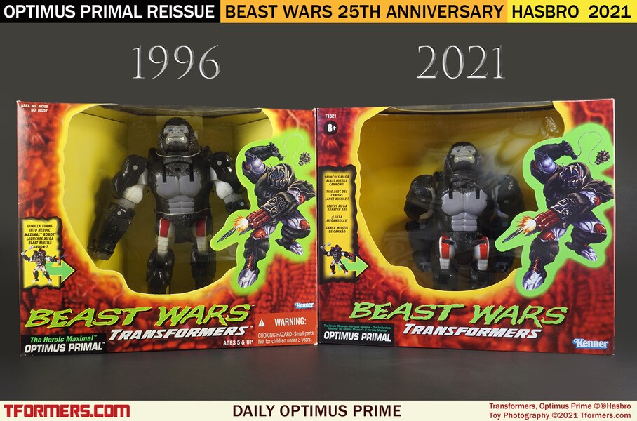 Daily Prime - 25th Anniversary Beast Wars Optimus Primal Then and Now