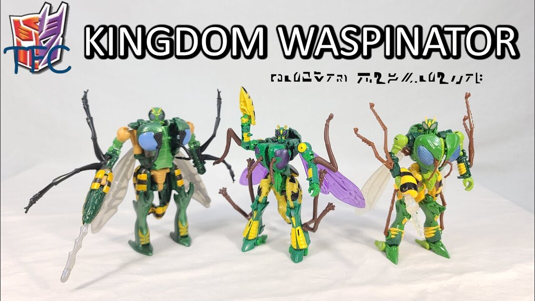 TF Collector Kingdom Waspinator Review!