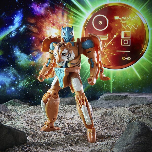 transformers-generations-disk-collection