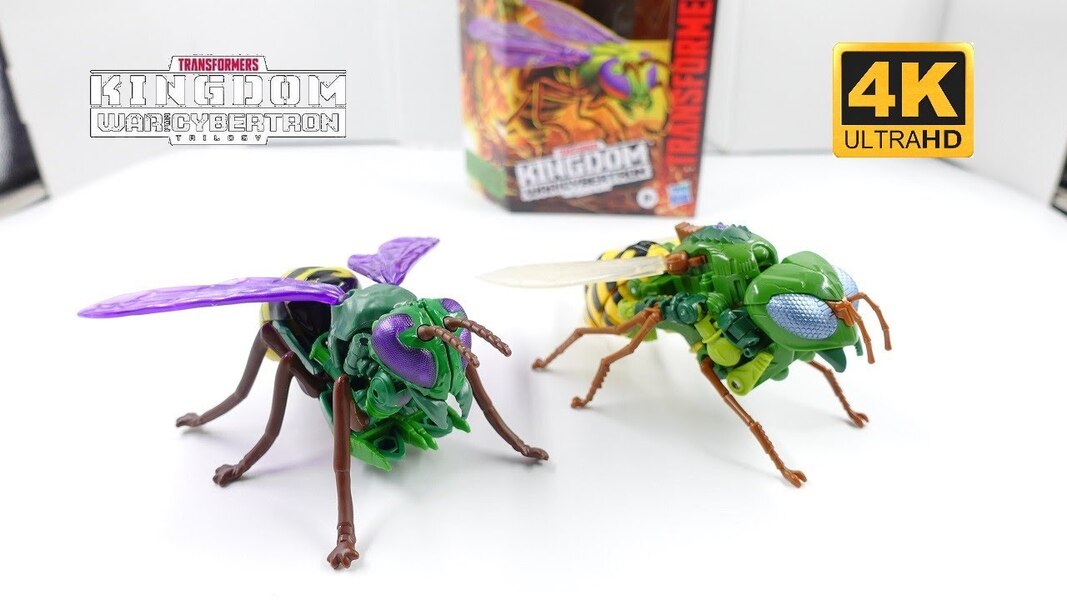 Transformers WFC Kingdom Deluxe Predacon WASPINATOR 4K Review 