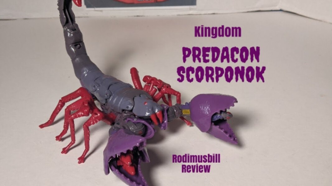 Kingdom Predacon Scorponok Review - Rodimusbill