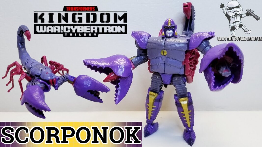 Kingdom PREDACON SCORPONOK Review by Bert the Stormtrooper