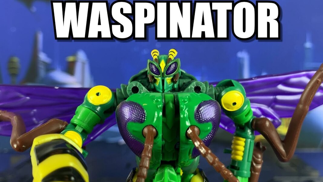 Transformers War for Cybertron Kingdom Waspinator Review