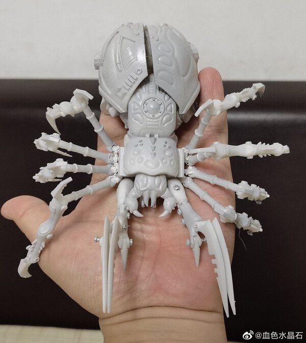 Future Toys-X SF-02 Black Widow (MP TM Blackarachnia) Prototype Images