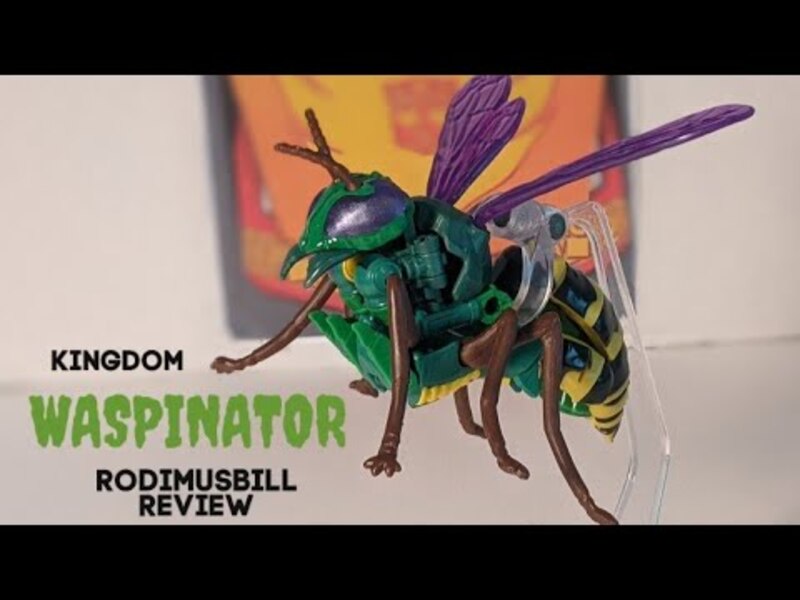 Kingdom WASPINATOR Transformers Deluxe WFC Figure (Wave 4) - Rodimusbill Review