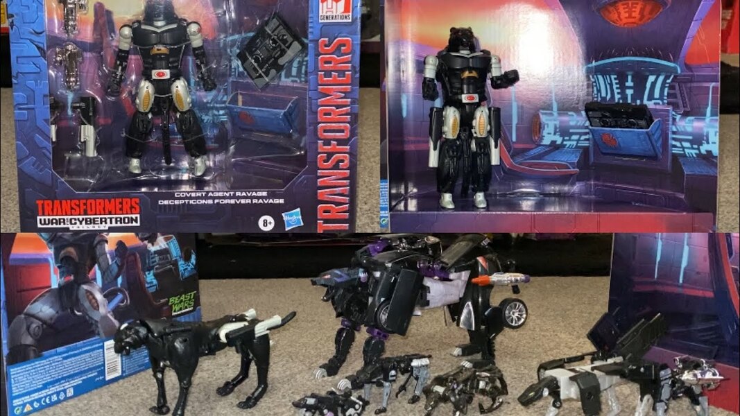 Transformers Covert Agent Ravage Decepticons Forever Unbox and Review