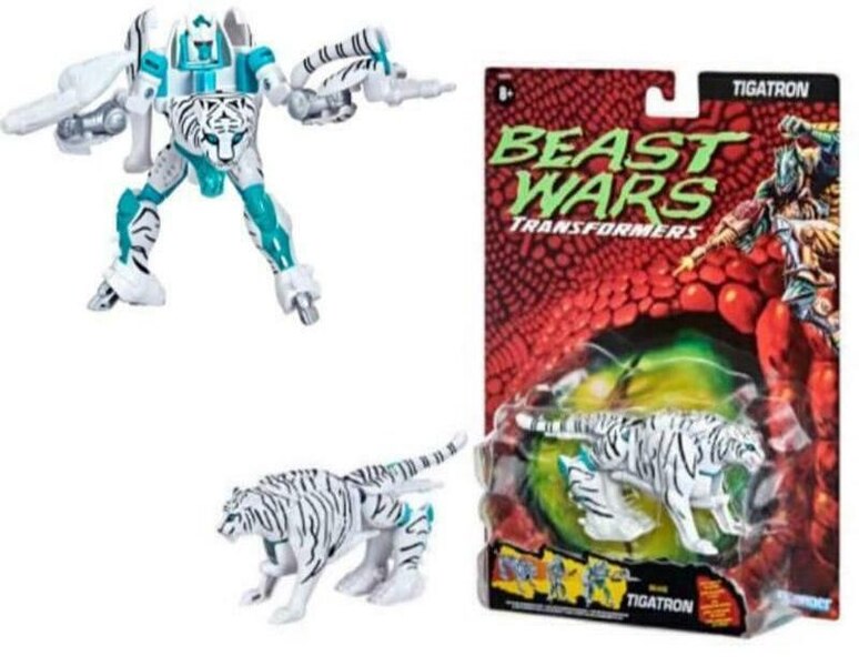 Transformers Beast Wars Tigatron Reissue In-Package Official Images Revealed?