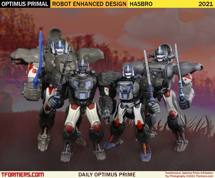 Daily Prime - RED Beast Wars Optimus Primal Robot Not Monkey
