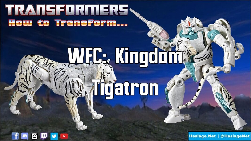 tigatron wfc