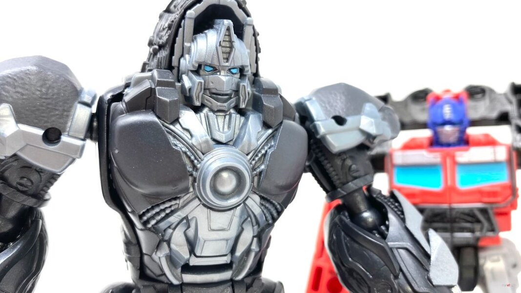 Transformers Rise Of The Beasts Optimus Primal Tigatron In Hand Image  (8 of 35)