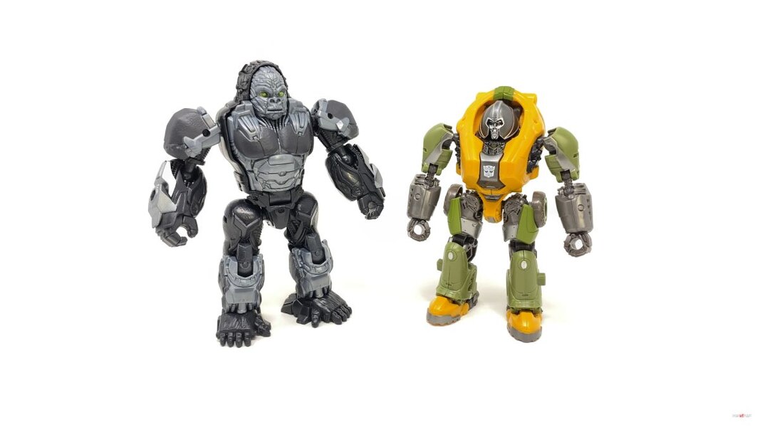 Transformers Rise Of The Beasts Optimus Primal Tigatron In Hand Image  (17 of 35)