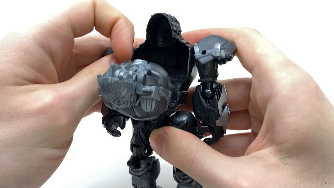 Transformers Rise Of The Beasts Optimus Primal Tigatron In Hand Image  (18 of 35)