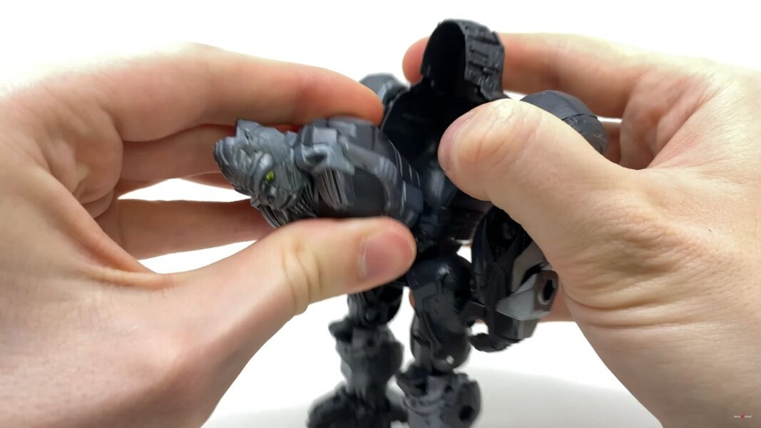 Transformers Rise Of The Beasts Optimus Primal Tigatron In Hand Image  (19 of 35)