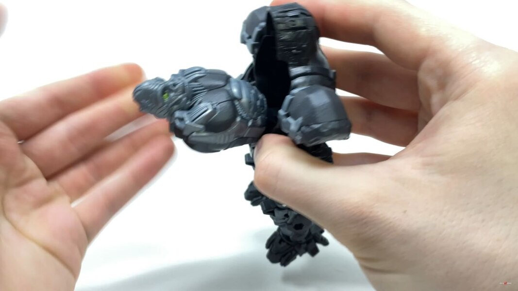 Transformers Rise Of The Beasts Optimus Primal Tigatron In Hand Image  (20 of 35)