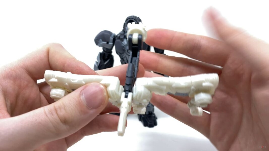 Transformers Rise Of The Beasts Optimus Primal Tigatron In Hand Image  (22 of 35)