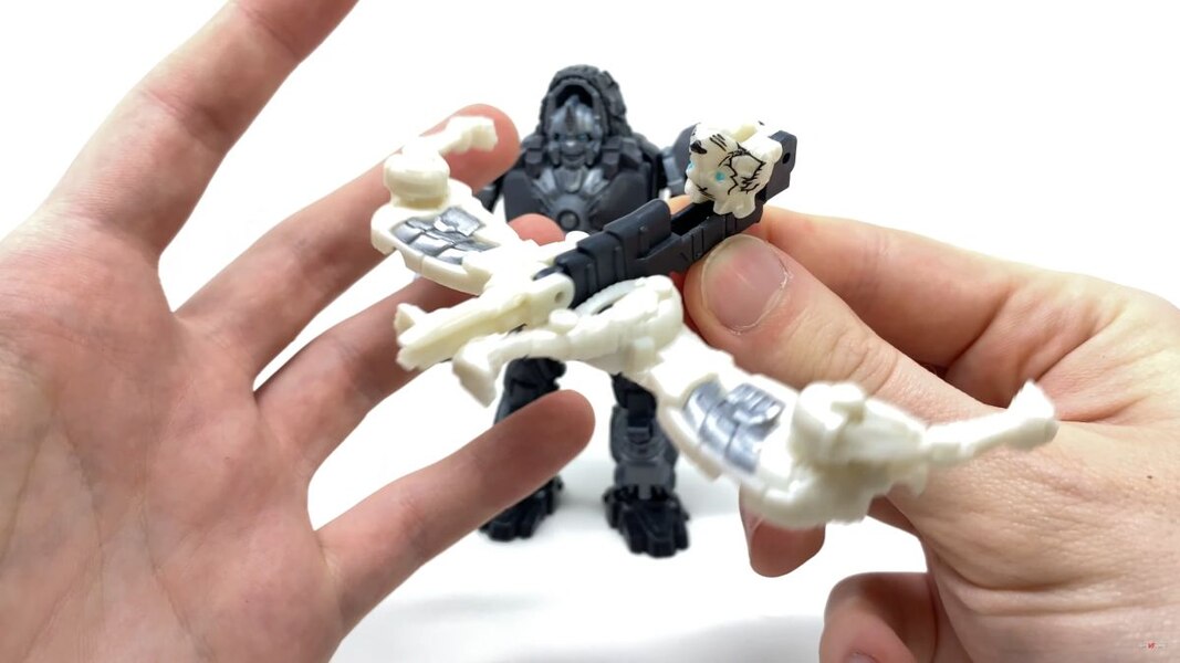 Transformers Rise Of The Beasts Optimus Primal Tigatron In Hand Image  (23 of 35)