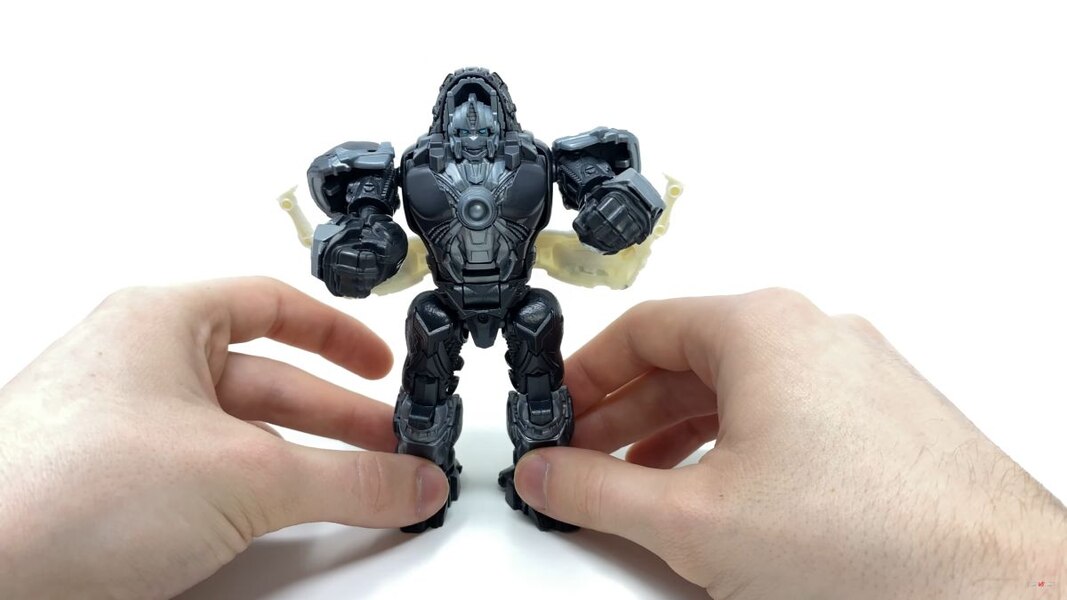 Transformers Rise Of The Beasts Optimus Primal Tigatron In Hand Image  (26 of 35)