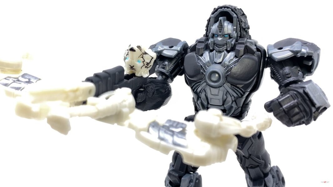 Transformers Rise Of The Beasts Optimus Primal Tigatron In Hand Image  (29 of 35)