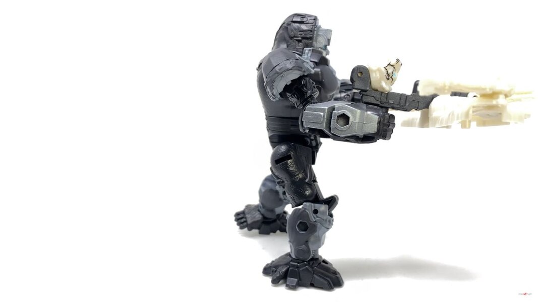 Transformers Rise Of The Beasts Optimus Primal Tigatron In Hand Image  (31 of 35)