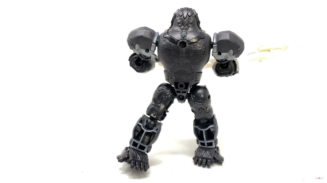 Transformers Rise Of The Beasts Optimus Primal Tigatron In Hand Image  (32 of 35)