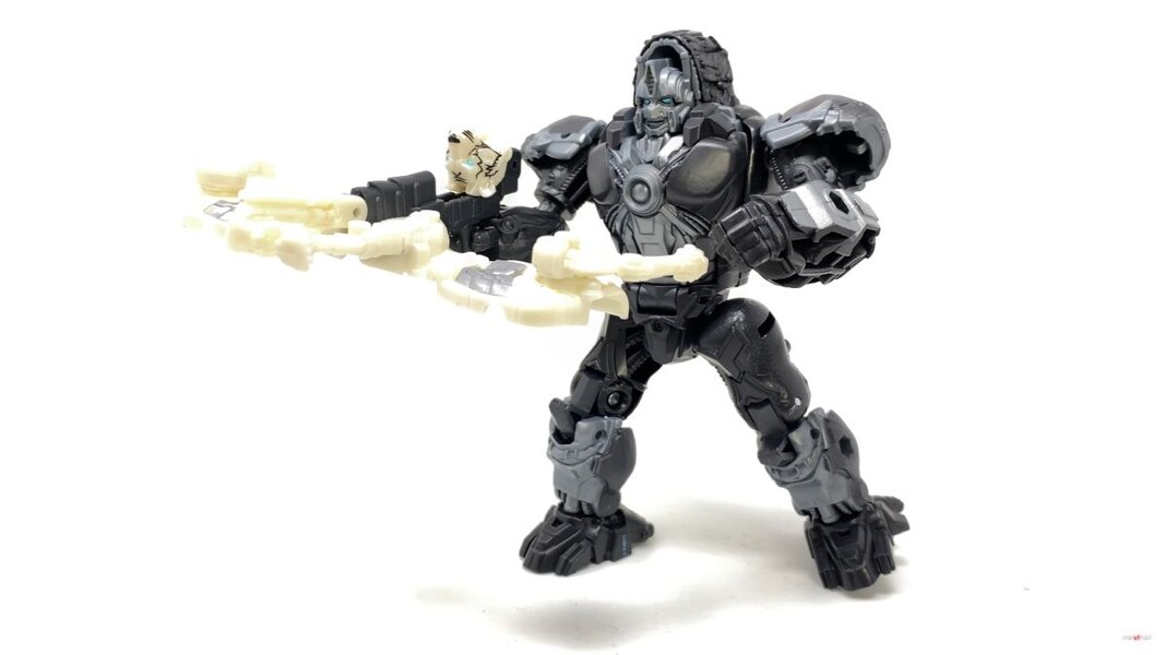 Transformers Rise Of The Beasts Optimus Primal Tigatron In Hand Image  (34 of 35)