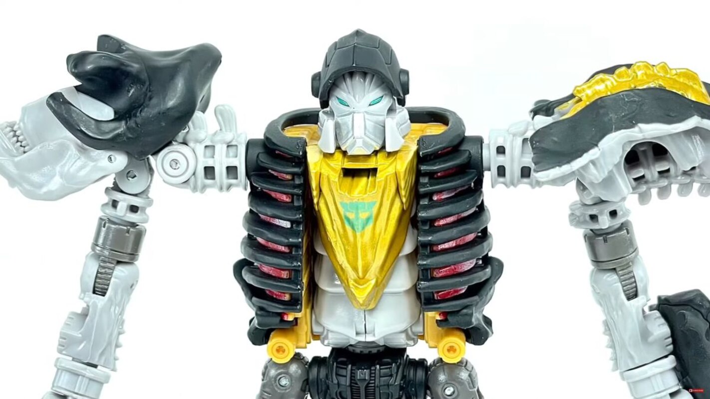 Master dominus transformers