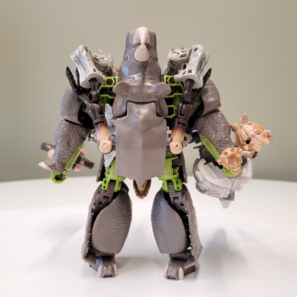 Fossilized King Rhinox Image  (4 of 5)