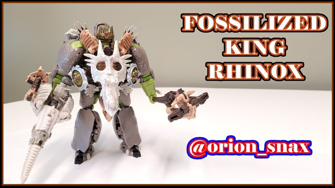 Fossilized King Rhinox Image  (5 of 5)