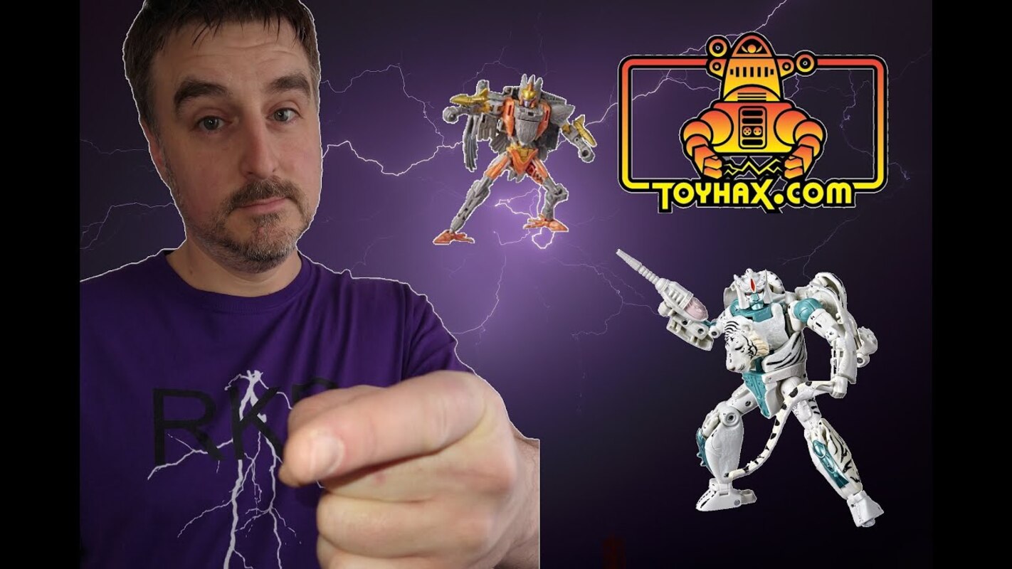 Toyhax - War for Cybertron Kingdom: Tigatron and Airazor