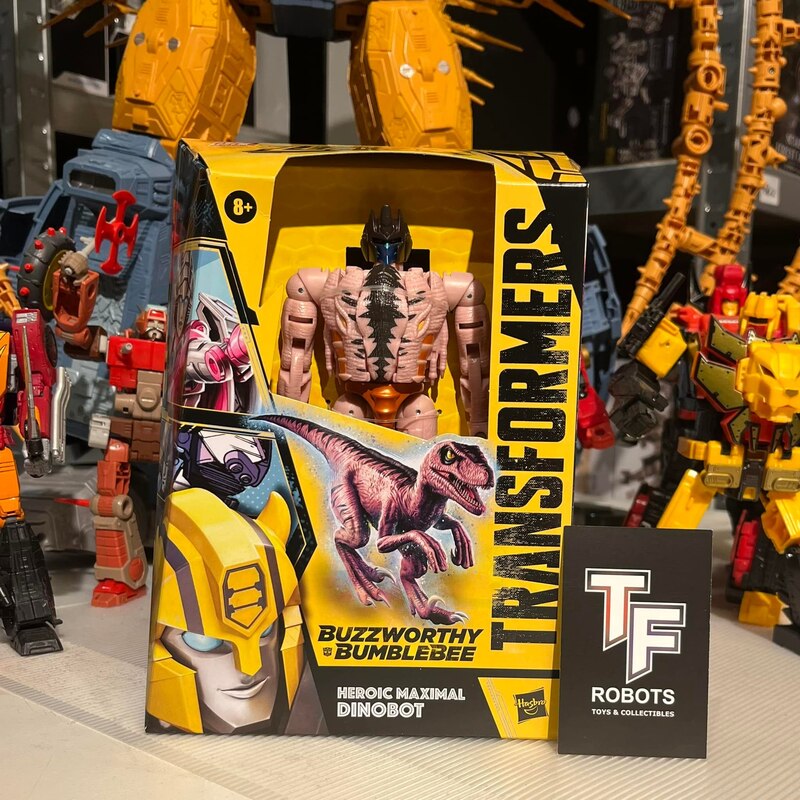 Buzzworthy Bumblebee Dinobot Toy Colors In Box Image