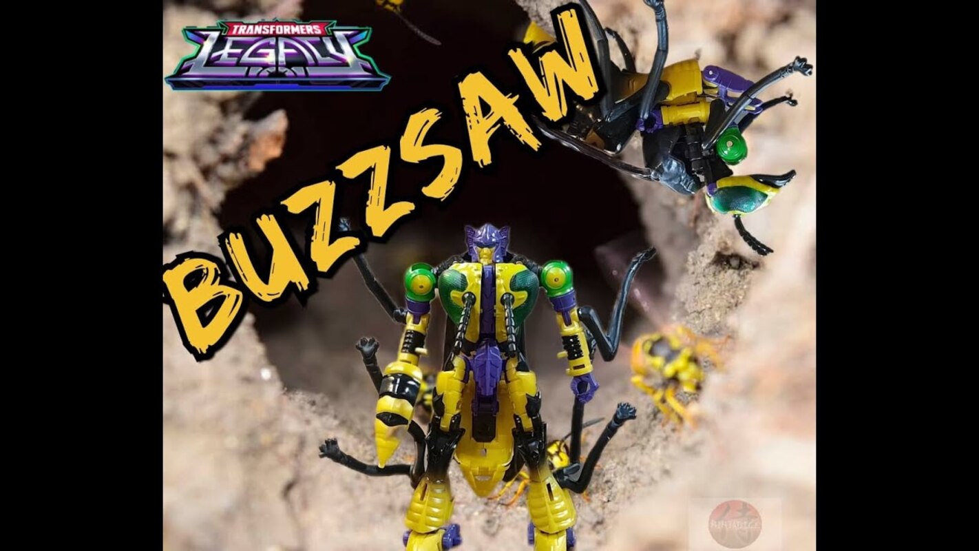 Legacy Buzzsaw and 1997 Buzzsaw Comparison and Review
