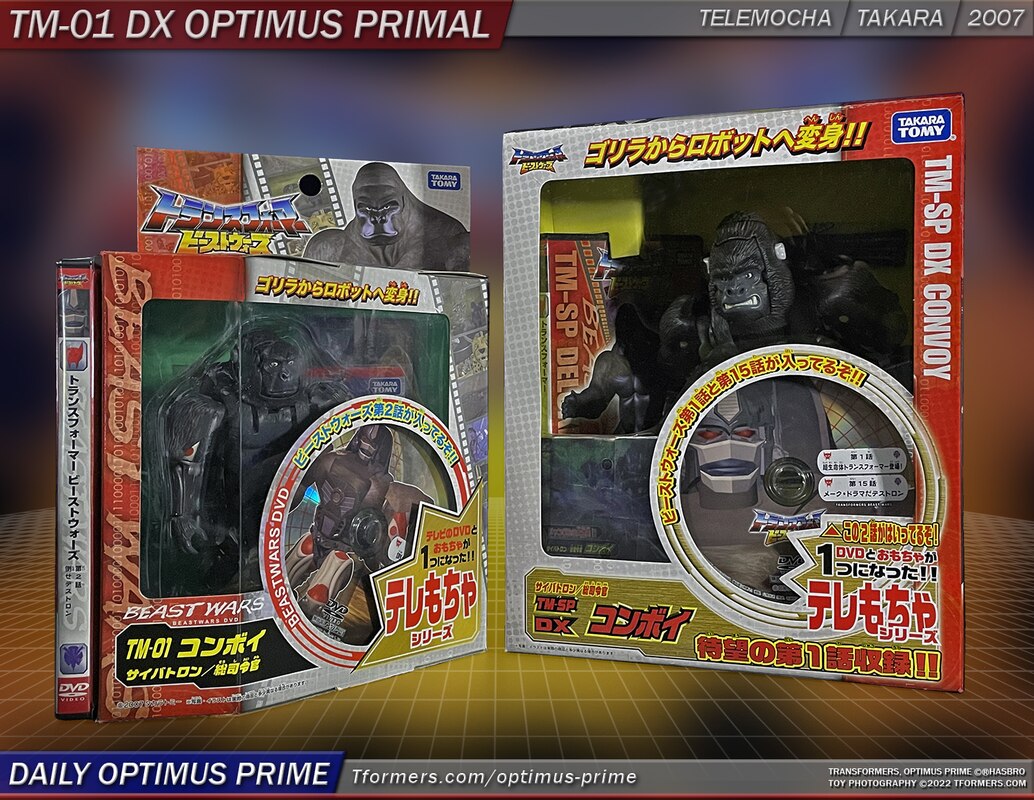 Daily Prime - Telemocha Beast Wars DX Optimus Primal DVD Packs