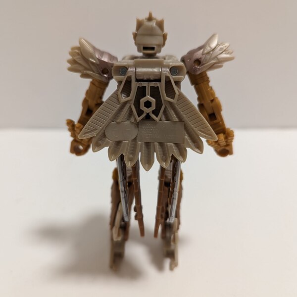 Lekead Transformers Rise Of The Beasts Deluxe Airazor Image  (6 of 13)