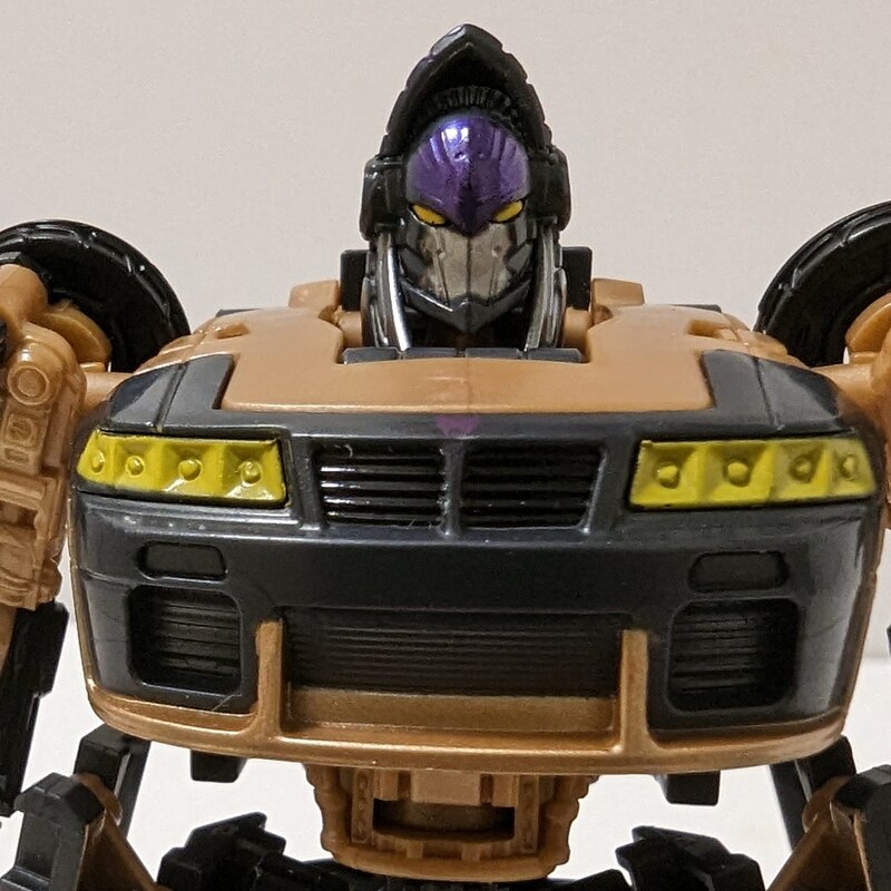 First Look at Transformers Rise of the Beasts Nightbird Action Figure?
